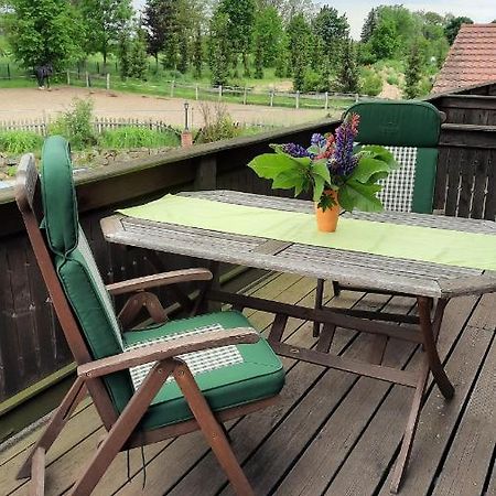 Schoenermarker Pferdeparadies Niederlandin Exteriér fotografie